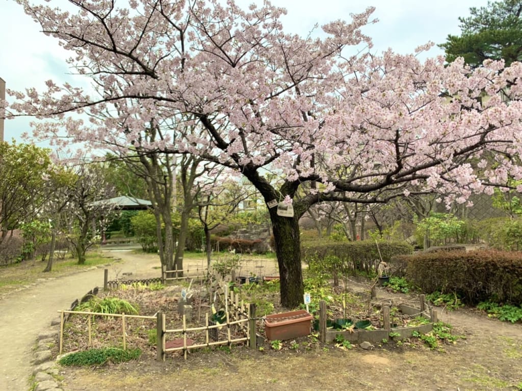 麻生区役所